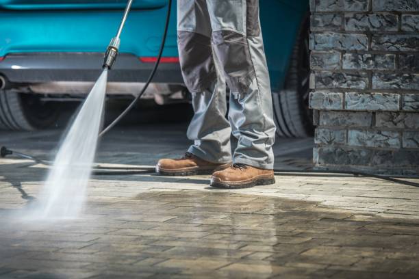 Best Roof Cleaning and Mildew Removal in Willow Park, TX
