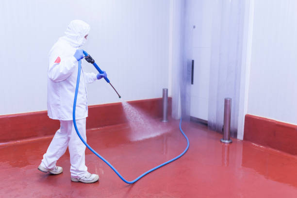  Willow Park, TX Pressure Washing Pros