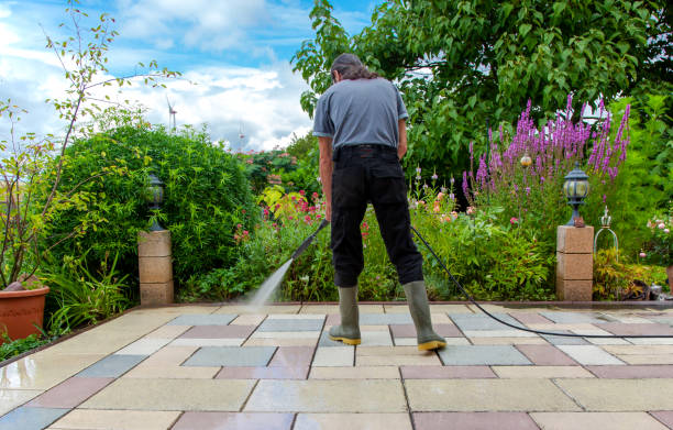 Best Soft Washing for Delicate Surfaces in Willow Park, TX